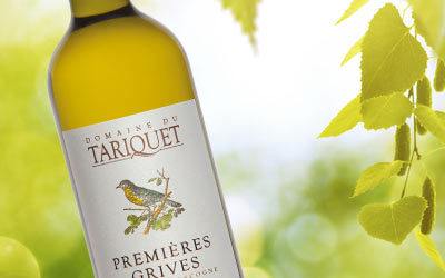 Domaine du Tariquet, l'emblematica tenuta del Sud Ovest