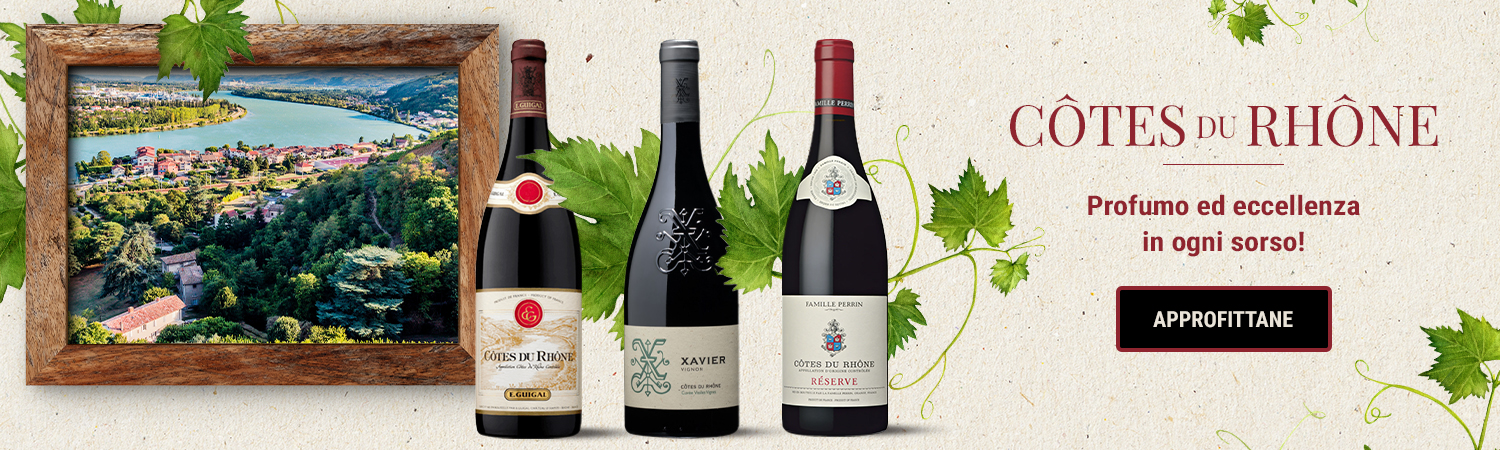 Vini della Valle del Rodano e Côtes du Rhône