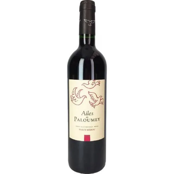 Ailes de Paloumey 2021 - Second Vin du Château Paloumey