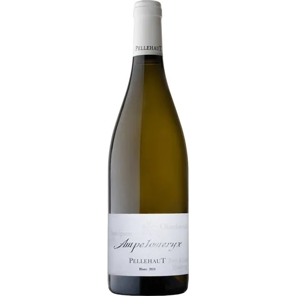Ampelomeryx Blanc 2024 - Pellehaut
