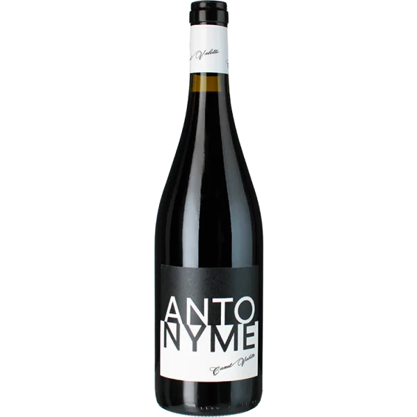 Antonyme 2024 - Domaine Canet Valette