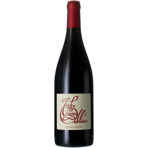 Autour du Cinsault 2025 - Les Vignes Oubliées