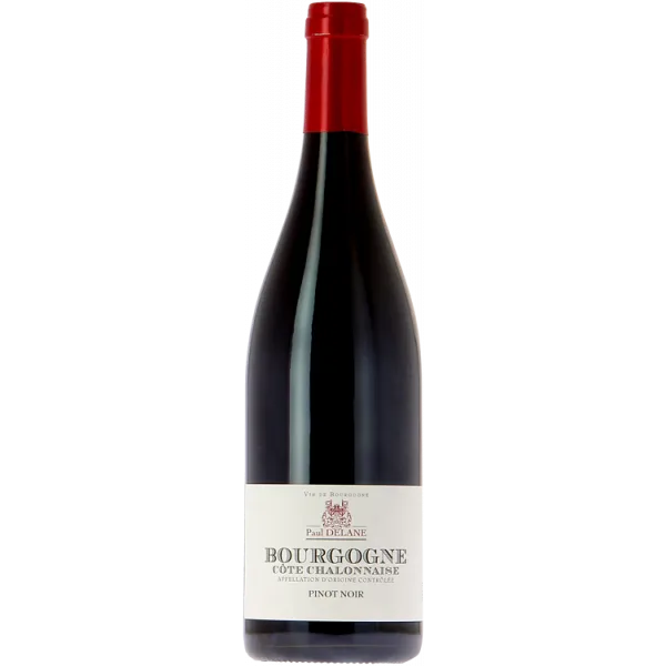 Bourgogne Côte Châlonnaise Pinot Noir 2023 - Paul Delane - Vignerons de Buxy