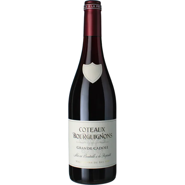 Côteaux Bourguignons - la Grande Cadole 2024 - Vignerons de Bel Air