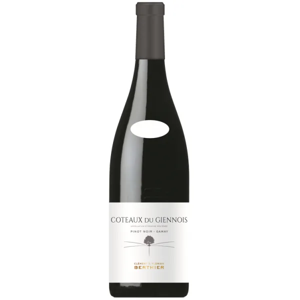 Coteaux du Giennois Rouge 2023 - Clément & Florian Berthier