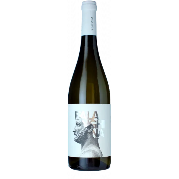 Favugnë Falanghina Bianco 2025 - Cantine Teanum