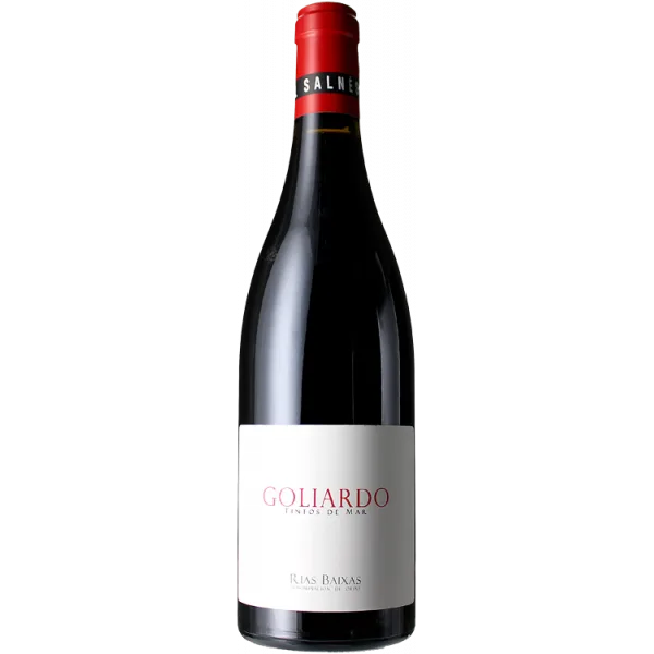 Goliardo Tinto 2022 - Forjas Del Salnes
