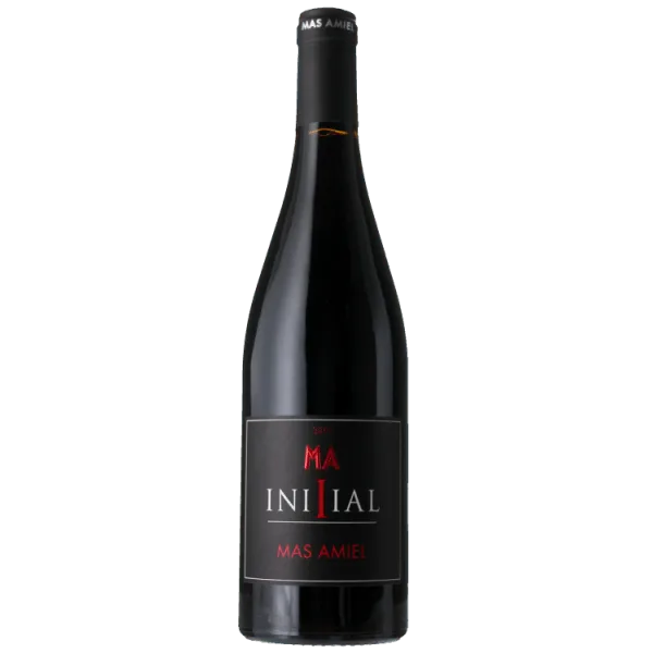 Initial 2019 - Mas Amiel
