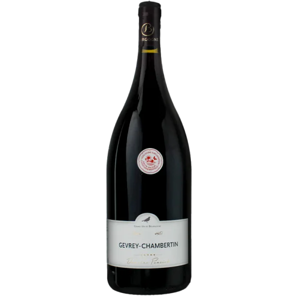 Magnum Gevrey Chambertin 2023 - Domaine Pansiot