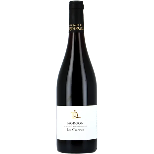 Morgon Les Charmes 2019 - Domaine de Lathevalle