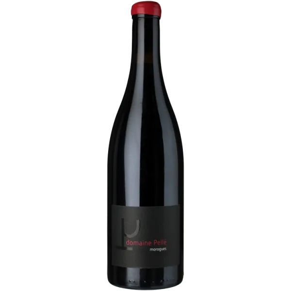 Morogues 2023 - Domaine Henry Pellé