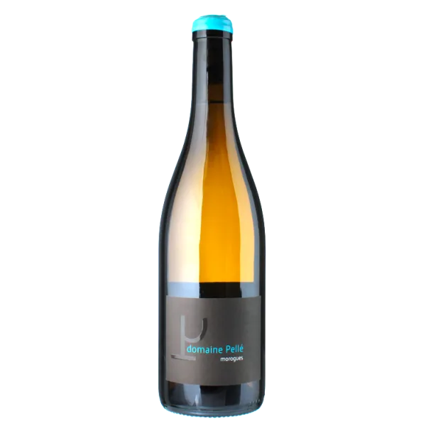 Morogues 2024 - Domaine Henry Pellé
