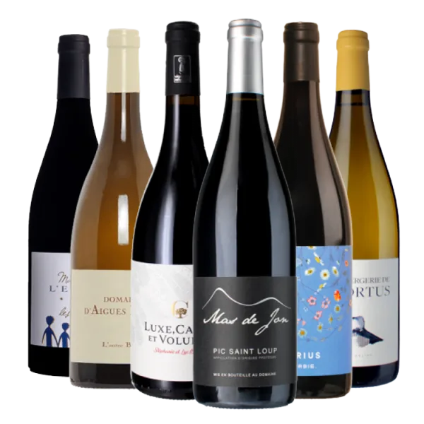 Pack meilleures ventes - Pépites du Languedoc-Roussillon