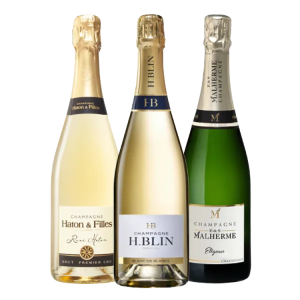Pack Trio - Champagnes blanc de blancs