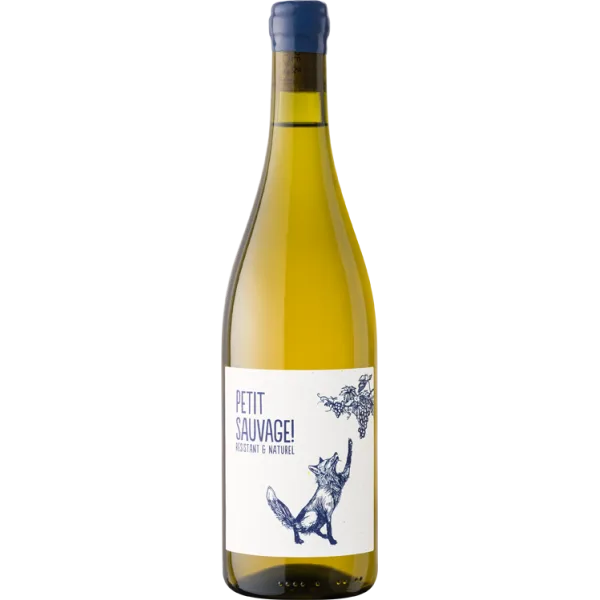 Petit Sauvage blanc 2025 - Cépage résistant - Pierre & Antonin