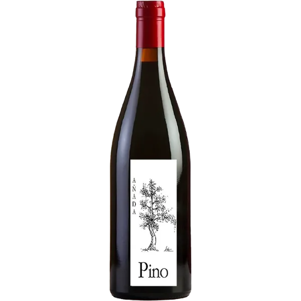 Pino 2024 - Ponce