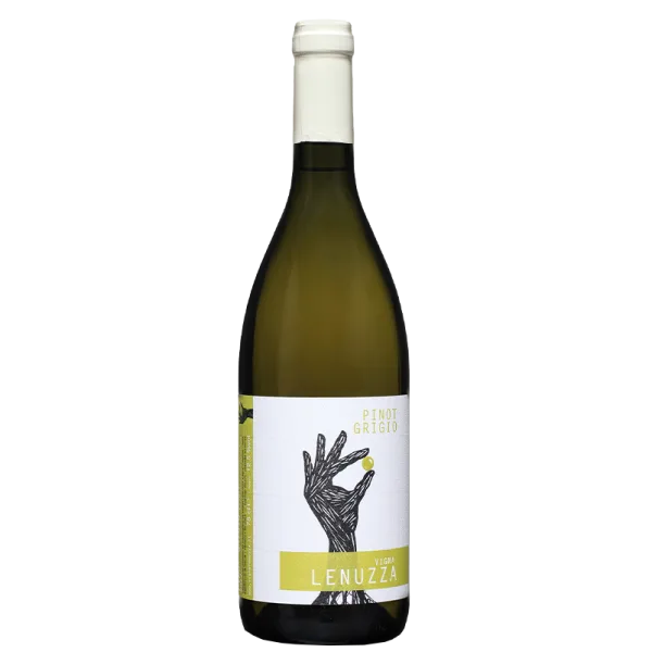 Pinot Grigio 2024 - Vigna Lenuzza