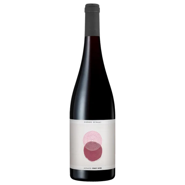 Pinot Noir 2025 - Sophie Schaal