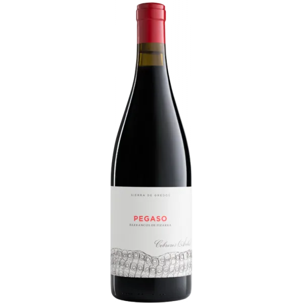 Pizarra 2022 - Pegaso - Telmo Rodríguez