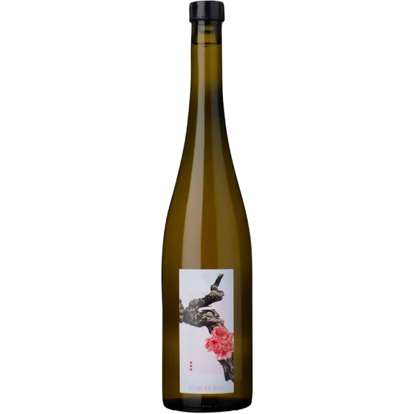 Vigne en Rose 2023 - Vignoble du Rêveur