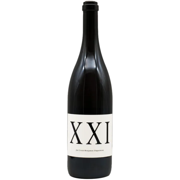 XXI BLANC 2021 - Didier Dagueneau
